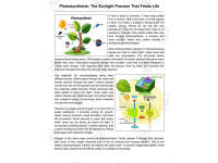 Reading Comprehension | Life Science | Biology | Photosynthesis (Docs) preview 2