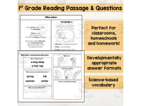 Reading Comprehension Passages First Grade: Hibernation Science Readin preview 3