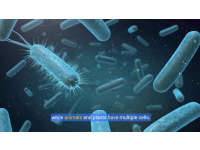 Product image #3