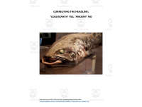 Product image #1