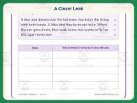 Reading Fiction Fluency Practice Worksheet – 1st Grade preview 3