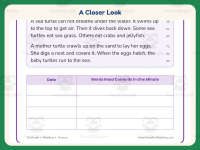 Reading Non-Fiction Fluency Practice Worksheet – 1st Grade preview 3