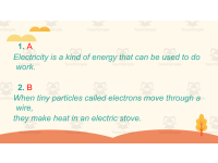 Product image #5