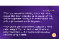 Product image #5