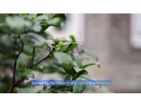 Product image #1