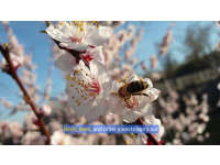 Product image #2