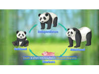 Product image #3