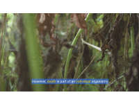Product image #4