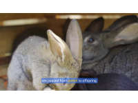 Product image #5