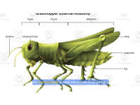 Product image #1
