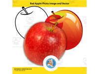 Product image #0