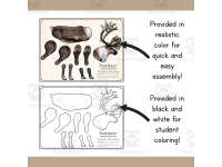 Product image #1