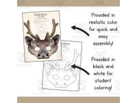 Product image #1