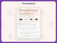 Reptiles, Amphibians, and Insects Worksheet – 3rd Grade Animals preview 2