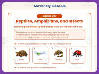 Reptiles, Amphibians, and Insects Worksheet – 3rd Grade Animals preview 7