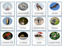 Product image #2