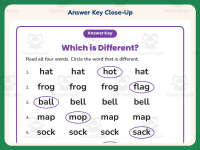 Same and Different Words Worksheet – 1st Grade Compare and Contrast preview 7