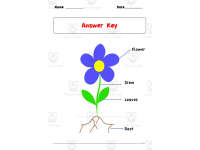 Product image #2