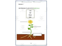 Product image #1