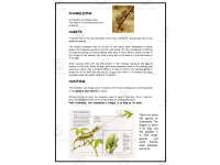 Product image #0
