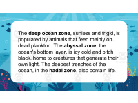 Product image #4
