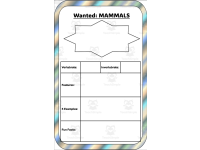 Product image #2