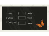 Product image #4