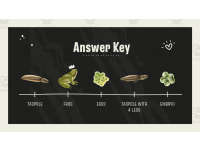 Product image #5