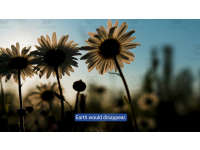 Product image #3