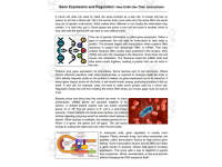 Science Reading Comprehension Passage: Gene Expression (Word) preview 2