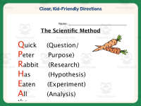Scientific Method Activity Booklet – 1st-3rd Grade Experiments preview 4