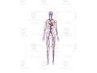 Product image #3