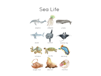 Product image #0