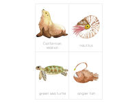 Product image #3