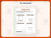 Seeds Draw and Write Worksheet – Kindergarten Life Cycle & Plants preview 2