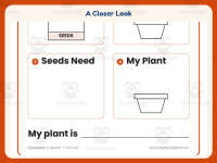 Seeds Draw and Write Worksheet – Kindergarten Life Cycle & Plants preview 3