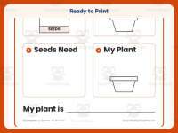 Seeds Draw and Write Worksheet – Kindergarten Life Cycle & Plants preview 7