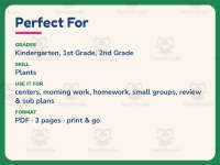 Seeds Plants Fill in the Blanks Worksheet – 1st Grade Life Cycle preview 6