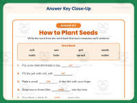 Seeds Plants Fill in the Blanks Worksheet – 1st Grade Life Cycle preview 7