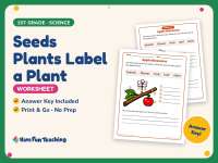Seeds Plants Label a Plant Worksheet – 1st Grade Life Cycle Practice preview