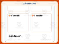 Senses Draw and Write Worksheet – Kindergarten Anatomy & Human Body preview 3