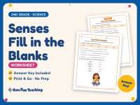 Senses Fill in the Blanks Worksheet – 2nd Grade Anatomy Practice preview