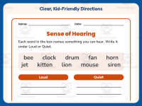 Senses Hearing Worksheet – 2nd Grade Anatomy Practice + Answer Key preview 4