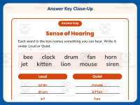 Senses Hearing Worksheet – 2nd Grade Anatomy Practice + Answer Key preview 7