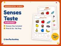 Senses Taste Worksheet – Kindergarten Anatomy Practice + Answer Key preview
