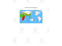 Product image #0