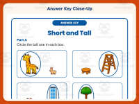 Short and Tall Worksheet – Kindergarten Measurement & Size Practice preview 7