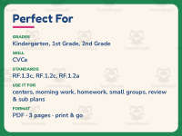 Silent E Fill in the Blanks Worksheet – 1st Grade CVCe & Ending Sounds preview 6