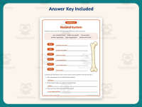 Skeletal System Research Worksheet – 4th Grade Anatomy & Human Body preview 3