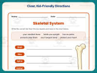 Skeletal System Research Worksheet – 4th Grade Anatomy & Human Body preview 4